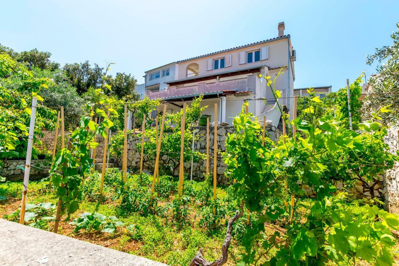 Apartments Bozo Ražanj エクステリア 写真